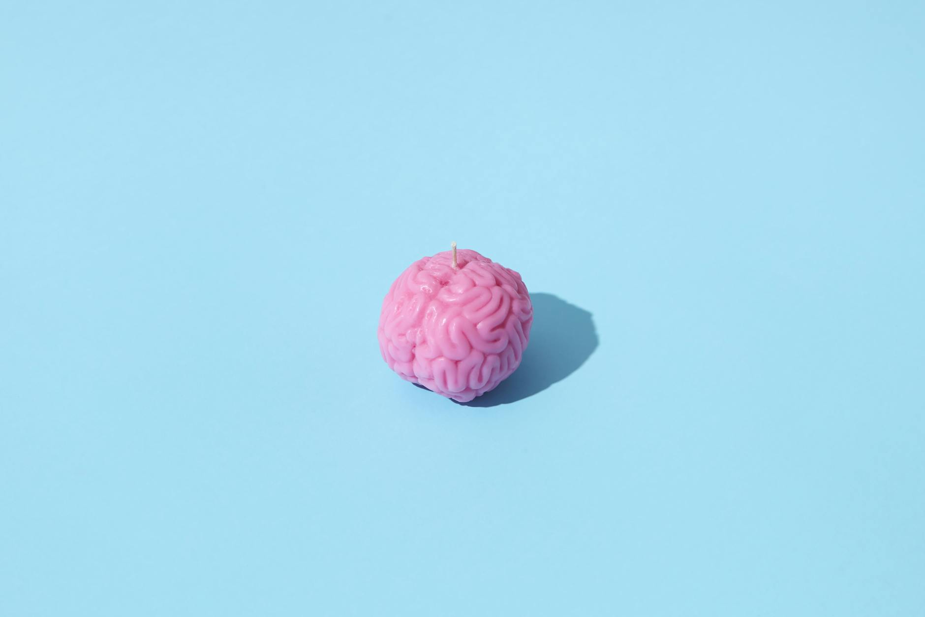 photograph of a brain on a blue surface